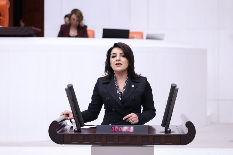 chp’lİ-gülcan-kiş:-“türkİye’nİn-gençlİğİ-geleceğİnİ-başka-ülkelerde-ariyor”